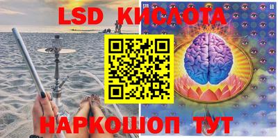 шишки Сланцы