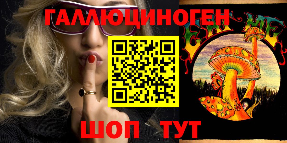 Псилоцибиновые грибы Psilocybine cubensis Новороссийск