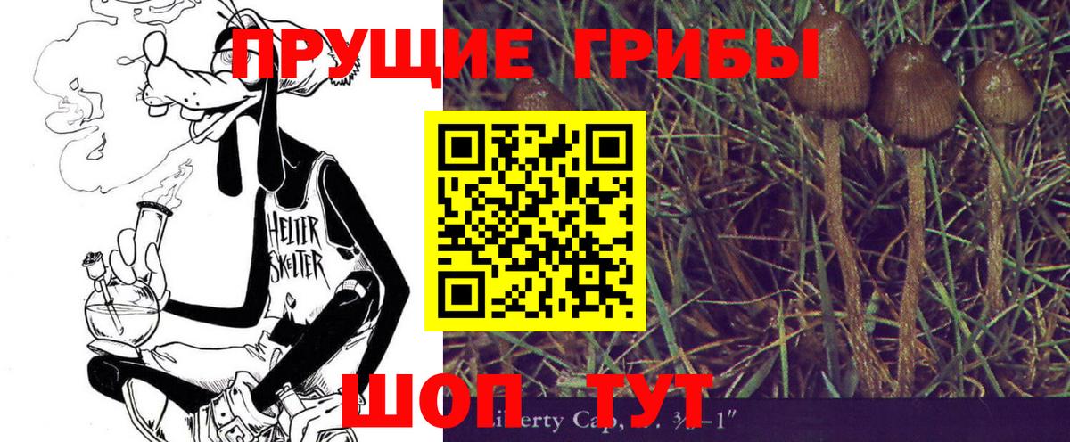 Псилоцибиновые грибы Psilocybe  Галлюциногенные грибы MAGIC MUSHROOMS  Вход с VPN  Новороссийск 